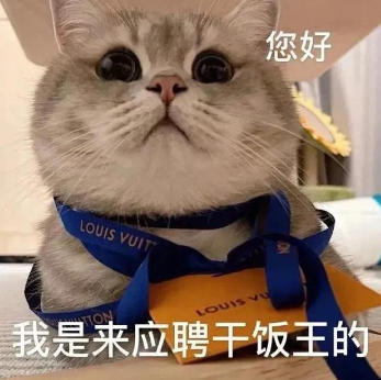 成都夜场招聘：面试极为重要的几点要求